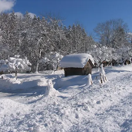 Πανσιόν Staud'nwirt 3*