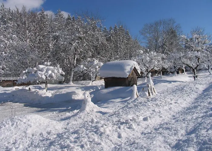 ゲストハウス Staud'nwirt 3*